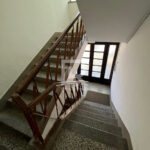 Jovana-Ducica-6