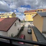 Stan na prodaju, Zivojina Misica_18