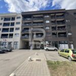 Stan na prodaju, Zivojina Misica_21