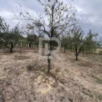 stambeno proizvodni objekat u Slatini_15