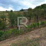 stambeno proizvodni objekat u Slatini_44