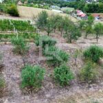 stambeno proizvodni objekat u Slatini_47